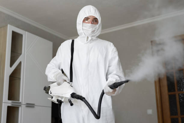 Best Mold Removal for HVAC Installations in Swedeland, PA